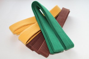 Coloured belts (obi) which indicates the kyū rank of kenshi