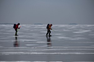 People skating on Lake Vänern