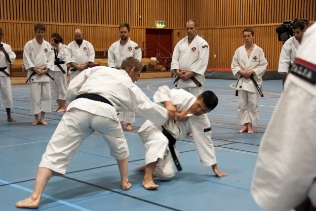 Fujii-sensei demonstrate hasami daoshi with Åke-sensei